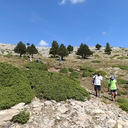 Dinosaur House Διαμέρισμα Coll de Nargó Εξωτερικό φωτογραφία